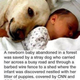 Image for article titled 76 Viral Images From 2015 That Were Totally Fake